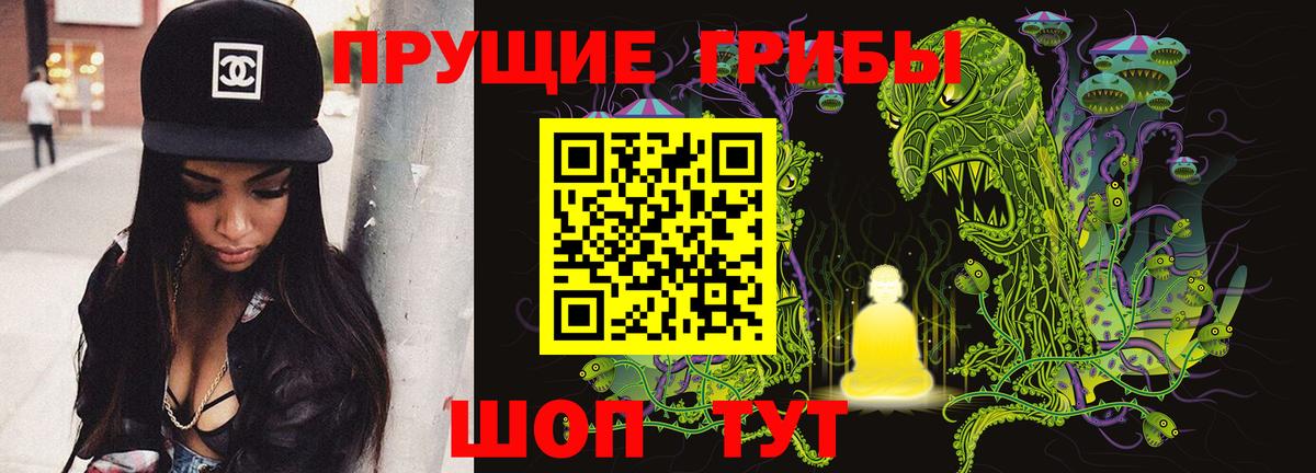 Шадринск  Псилоцибиновые грибы Psilocybine cubensis  Галлюциногенные грибы Psilocybine cubensis  как найти закладки  Вход с VPN 