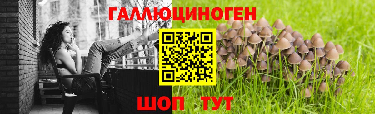 Галлюциногенные грибы GOLDEN TEACHER Шадринск